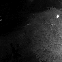 Preso mandante de assassinato em disputa do tr&aacute;fico de drogas