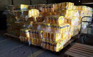 Fornecimento de fraldas e dietas especiais no SUS vira alvo de investigação Fornecimento de fraldas e dietas especiais no SUS vira alvo de investigação