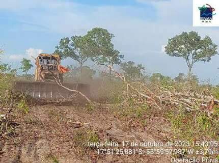 Suspeito de grilagem foi multado em R$ 440 mil por desmate no Pantanal