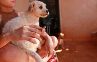 A fuma&ccedil;a do seu cigarro pode causar c&acirc;ncer nasal nos c&atilde;es e gatos