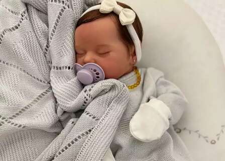No del&iacute;rio coletivo dos beb&ecirc;s reborn, tem gente lucrando alto por aqui