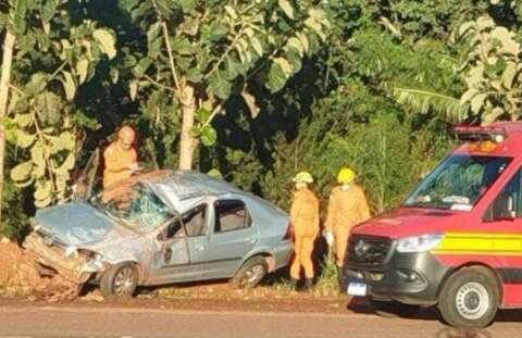 Carro bate em &aacute;rvore, motorista &eacute; lan&ccedil;ado para fora e morre em rodovia 