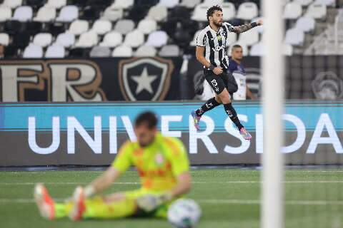 Botafogo d&aacute; show no Nilton Santos e goleia o Internacional por 4 a 0