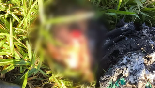 Suspeito de matar homem encontrado carbonizado &eacute; preso