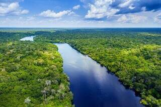 Veja dicas para quem visita a Amazônia pela primeira vez Veja dicas para quem visita a Amazônia pela primeira vez