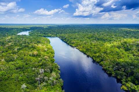 Veja dicas para quem visita a Amaz&ocirc;nia pela primeira vez
