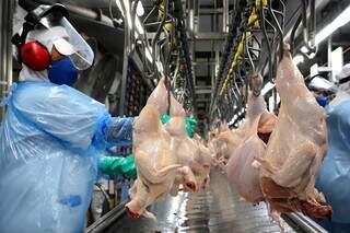 Brasil abre 5 novos mercados agropecu&aacute;rios na China, o que deve beneficiar MS
