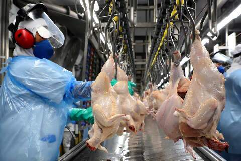 Brasil abre 5 novos mercados agropecu&aacute;rios na China, o que deve beneficiar MS