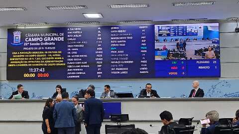 C&acirc;mara aprova recria&ccedil;&atilde;o da Funda&ccedil;&atilde;o Municipal de Cultura 