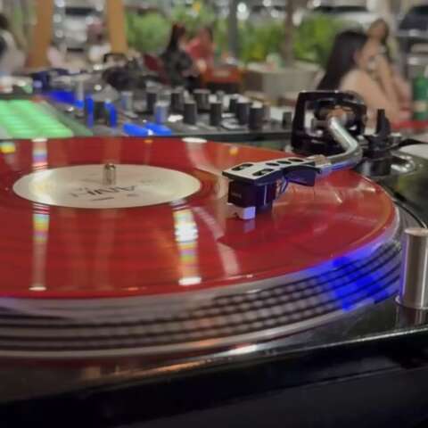 Cultura do vinil &eacute; destaque em evento gratuito neste domingo