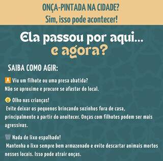 Corumb&aacute; orienta moradores de beira rio a conviver com a presen&ccedil;a de on&ccedil;as