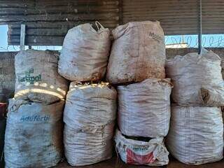 &quot;Quem trabalha honestamente tamb&eacute;m precisa de resguardo&quot;, diz dono de reciclagem