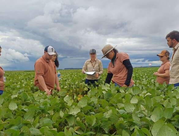 Fam&iacute;lia Scheffer investe em MS e quer pr&aacute;tica regenerativa em 100% da produ&ccedil;&atilde;o