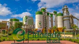 J&amp;F paga &agrave; vista por Eldorado e retoma projeto de R$ 25 bilh&otilde;es em MS