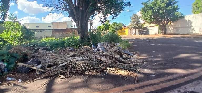 Campo Grande News