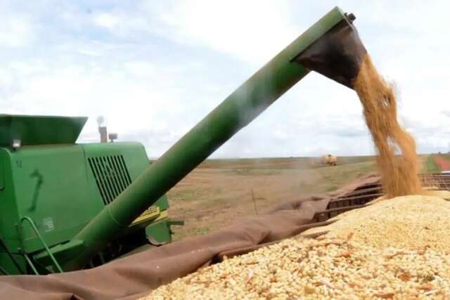 Safra de gr&atilde;os deve crescer 29,4% em Mato Grosso do Sul