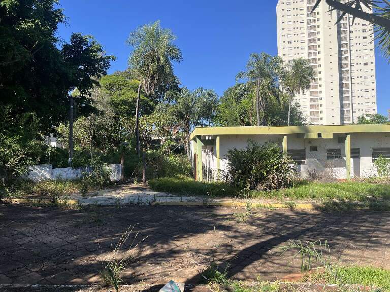 Campo Grande News