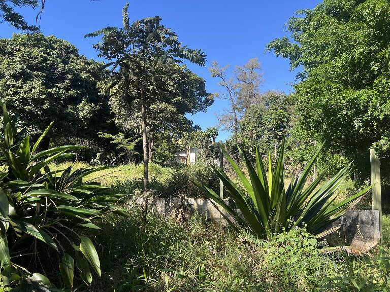Campo Grande News