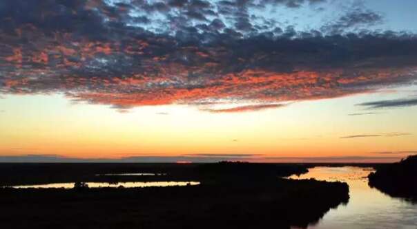 Rumo &agrave; COP-30, MS investe em zoneamento ecol&oacute;gico e a&ccedil;&otilde;es para o bioma Pantanal