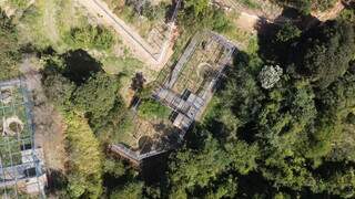 On&ccedil;a que matou caseiro no Pantanal se recupera e &eacute; transferida para SP