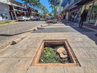 Especialista em cidades, urbanista garante: &ldquo;o Centro tem solu&ccedil;&atilde;o&rdquo;