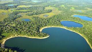 Entidade ligada ao agronegócio vai gerir R$ 33 milhões em recursos para Pantanal Entidade ligada ao agronegócio vai gerir R$ 33 milhões em recursos para Pantanal