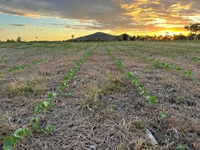 Centro de pesquisa rural voltado &agrave; Rota Bioce&acirc;nica ser&aacute; inaugurado no s&aacute;bado