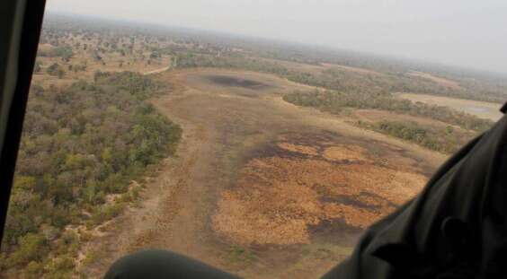 Ex-banqueiro e esposa s&atilde;o investigados por inc&ecirc;ndio no Pantanal