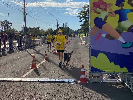 Com percurso at&eacute; para pets, Circuito Banco do Brasil abre temporada na Capital