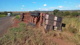 Carreta com carga de bovinos sai da pista e tomba &agrave;s margens da BR-267