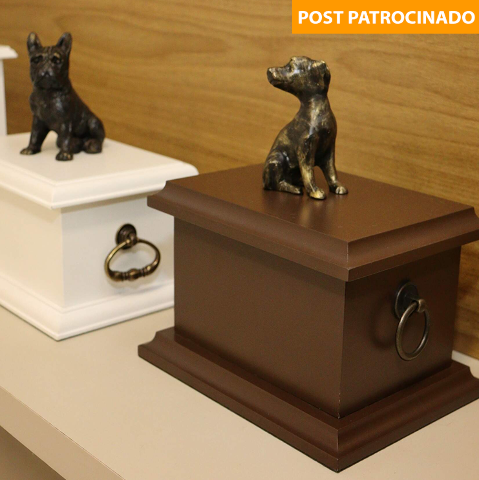 Crema&ccedil;&atilde;o x incinera&ccedil;&atilde;o: Pet Pax, o &uacute;nico cremat&oacute;rio pet de Campo Grande/MS