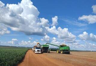 Soja e milho impulsionam alta do agroneg&oacute;cio em abril no Estado
