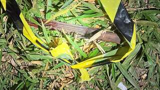 Trabalhador rural é morto com facada após discutir com colega Trabalhador rural é morto com facada após discutir com colega