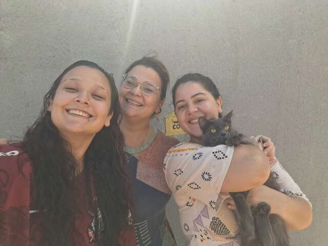 Busca por Alecrim leva ao encontro de Thor, mas gatinho cinza segue desaparecido