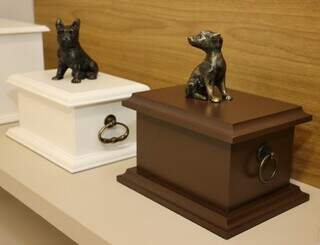 Crema&ccedil;&atilde;o x incinera&ccedil;&atilde;o: Pet Pax, o &uacute;nico cremat&oacute;rio pet de Campo Grande/MS