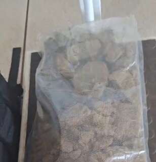 Juiz manda soltar militar da Aeron&aacute;utica preso com &ldquo;maconha de playboy&rdquo;