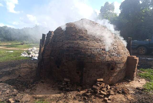 Carvoaria irregular instalada dentro de assentamento &eacute; multada em Anhandu&iacute;