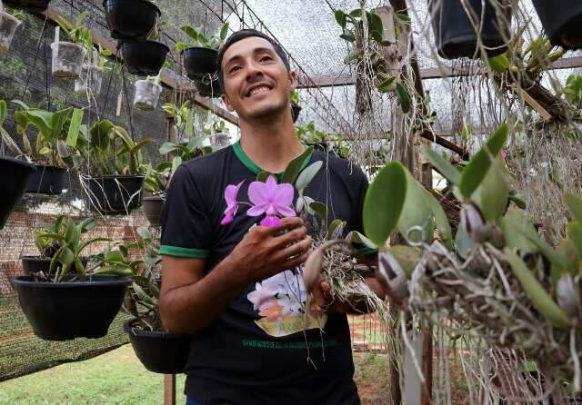 Amor por plantas virou orquid&aacute;rio com 400 esp&eacute;cies na casa de Rheury