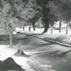 V&iacute;deo mostra acidente que matou motociclista de 21 anos no Universit&aacute;rio