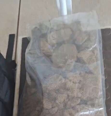 Juiz manda soltar militar da Aeron&aacute;utica preso com &ldquo;maconha de playboy&rdquo;