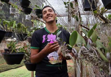 Amor por plantas virou orquid&aacute;rio com 400 esp&eacute;cies na casa de Rheury