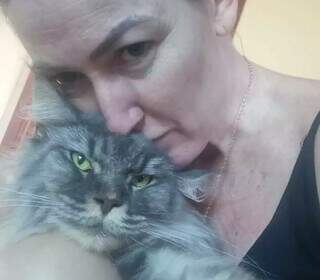 Ap&oacute;s mat&eacute;ria, felino de ra&ccedil;a rara &eacute; localizado na Vila Carlota