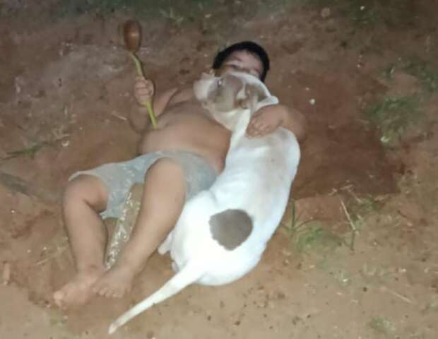 Crian&ccedil;a chora todas as noites pela aus&ecirc;ncia de cadela desaparecida