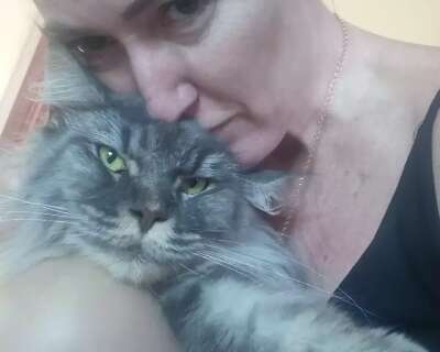 Ap&oacute;s mat&eacute;ria, felino de ra&ccedil;a rara &eacute; localizado na Vila Carlota