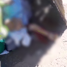 Idoso tem perna esmagada por caminh&atilde;o de lixo durante coleta no Dan&uacute;bio Azul
