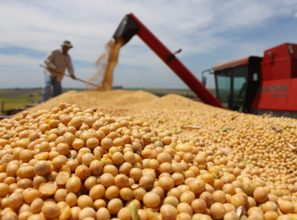 Safra de soja cresce 19% e MS encerra colheita com alta na produtividade