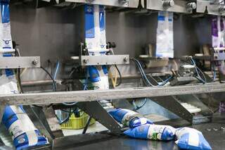 Imbaúba Laticínios: a fábrica de MS que virou gigante sem deixar de ser gente Imbaúba Laticínios: a fábrica de MS que virou gigante sem deixar de ser gente