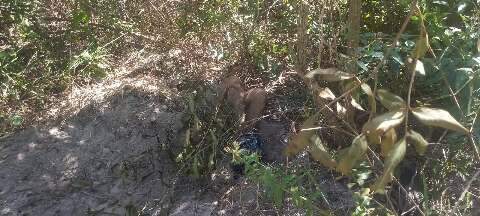 Casal encontra corpo de rapaz enterrado de cabe&ccedil;a para baixo em mata