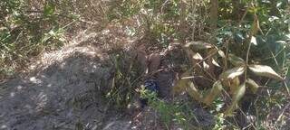 Casal encontra corpo de rapaz enterrado de cabe&ccedil;a para baixo em mata