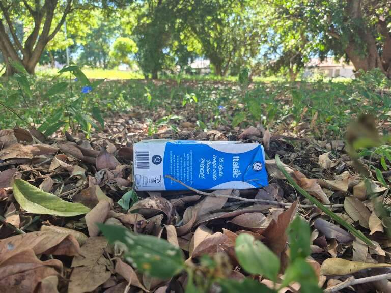 Campo Grande News
